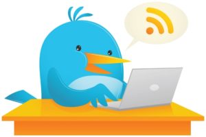 twitter bird with laptop