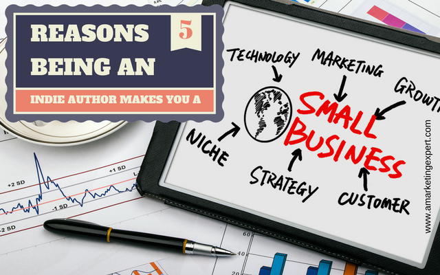 5 Reasons Being an Indie Author Makes You a Small Business