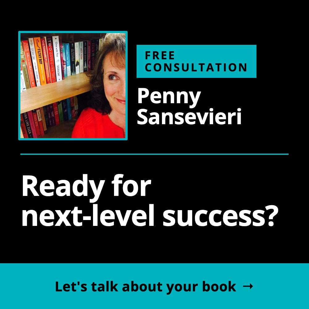 Free consultation with Penny Sansevieri